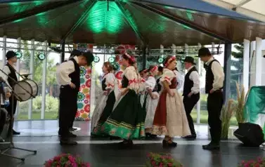 festiwal 1 jpg (85)