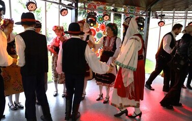 IMG_5060