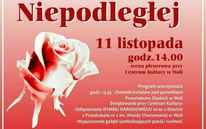 Zdjęcie do Miedźna dla Niepodległej