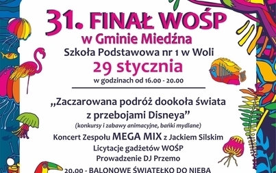 Zdjęcie do WIELKA ORIESTRA ŚWIATECZNEJ POMOCY 